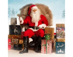 Kerstman Bril -Feestartikelen Winkel kerstman bril 3