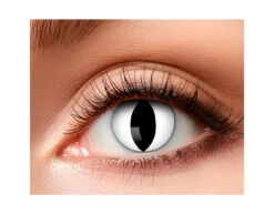 Kleurlenzen Kattenogen -Feestartikelen Winkel kleurlenzen kattenogen 3