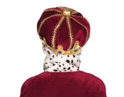 Koningskroon Kind 25cm -Feestartikelen Winkel koningskroon kind 25cm 5