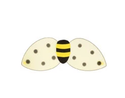 Kostuum Set Bij 2 Delig -Feestartikelen Winkel kostuum set bij 2 delig 3