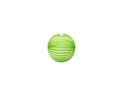 Licht Groene Lampion 25cm