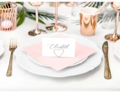 Lichtroze Servetten 30cm 20st -Feestartikelen Winkel lichtroze servetten 30cm 20st 2