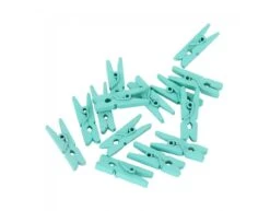 Mini Knijpers Hout Mint Groen 24st
