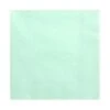Mintgroene Servetten 33cm 20st -Feestartikelen Winkel mintgroene servetten 33cm 20st