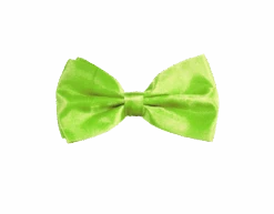 Neon Groene Vlinderdas