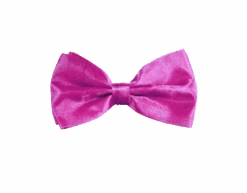 Neon Roze Vlinderdas