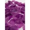 Paarse Rozenblaadjes 144st -Feestartikelen Winkel paarse rozenblaadjes 144st