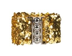 Pailletten Riem Goud 1,1m