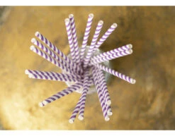 Papieren Rietjes Paars Gestreept 19,7cm 20st -Feestartikelen Winkel papieren rietjes paars gestreept 197cm 20st 1