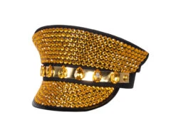 Pet Goud Glitters -Feestartikelen Winkel pet goud glitters 2