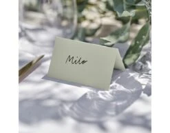 Place Cards Sage Placecards -Feestartikelen Winkel place cards sage placecards 1