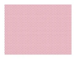 Placemats Roze Zwart 40cm 6st -Feestartikelen Winkel placemats roze zwart 40cm 6st 2