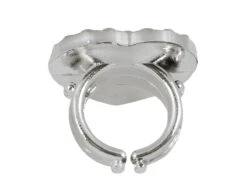 Prinsessen Accessoireset 5 Delig -Feestartikelen Winkel prinsessen accessoireset 5 delig 5