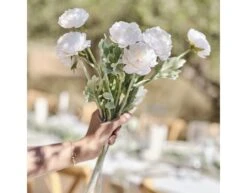 Rancula Stems 3pk -Feestartikelen Winkel rancula stems 3pk 2