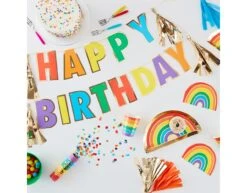 Regenboog Borden 26cm 8st -Feestartikelen Winkel regenboog borden 26cm 8st 3