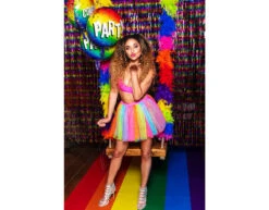 Regenboog Deurgordijn Metallic 2m -Feestartikelen Winkel regenboog deurgordijn metallic 2m 5