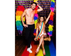 Regenboog Deurgordijn Metallic 2m -Feestartikelen Winkel regenboog deurgordijn metallic 2m 6