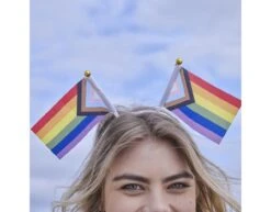 Regenboog Haarband Vlaggen 27cm -Feestartikelen Winkel regenboog haarband vlaggen 27cm 1