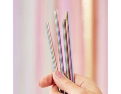 Regenboog Rietjes Roestvrijstalen 21,5cm 5st -Feestartikelen Winkel regenboog rietjes roestvrijstalen 215cm 5st 1