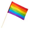 Regenboog Zwaaivlag 76cm -Feestartikelen Winkel regenboog zwaaivlag 76cm