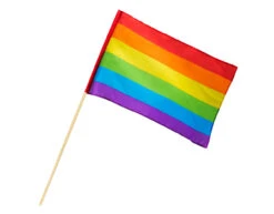 Regenboog Zwaaivlag 76cm