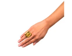 Ring Dollar -Feestartikelen Winkel ring dollar 1