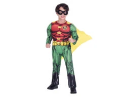 Robin Classic Kostuum Kind