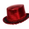 Rode Hoed Met Band -Feestartikelen Winkel rode hoed met band