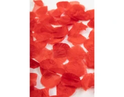Rode Rozenblaadjes 500st -Feestartikelen Winkel rode rozenblaadjes 500st 1