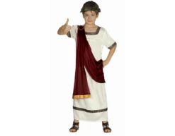 Romijns Kostuum Kind
