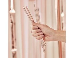 Rose Gouden Rietjes Metalen 20cm 6st -Feestartikelen Winkel rose gouden rietjes metalen 20cm 6st 2
