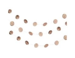 Rose Gouden Slinger 5m