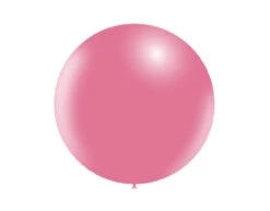 Roze Reuze Ballon 60cm