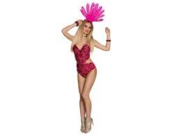 Roze Veren Haarband -Feestartikelen Winkel roze veren haarband 2