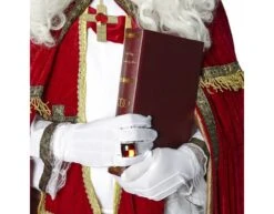 Sinterklaaspak 12 Delig -Feestartikelen Winkel sinterklaaspak 12 delig 3