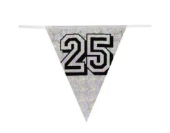 Slingers 25 Jaar Zilver Glitter 8m