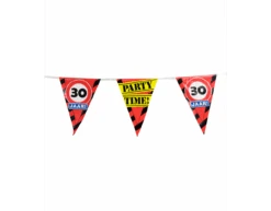 Slingers 30 Jaar Verkeersbord 10m