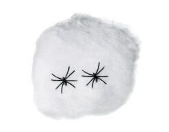 Spinnenweb 40gr