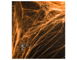 Spinnenweb Oranje Met 2 Spinnen 60gr