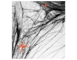 Spinnenweb Zwart Met 2 Spinnen 60gr