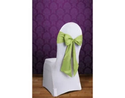 Stoelstrikken Lime Groen 2,75m 10st -Feestartikelen Winkel stoelstrikken lime groen 275m 10st 2