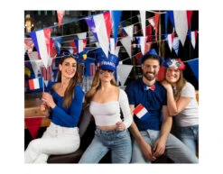 Strik Frankrijk -Feestartikelen Winkel strik frankrijk 3