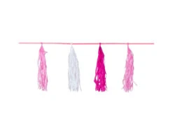 Tassel Slinger Lichtroze/Wit 3m -Feestartikelen Winkel tassel slinger lichtroze wit 3m 1