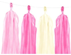 Tassel Slinger Roze 2m -Feestartikelen Winkel tassel slinger roze 2m 1
