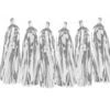 Tassel Slinger Zilver 2m -Feestartikelen Winkel tassel slinger zilver 2m