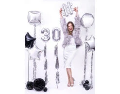 Tassel Slinger Zilver 2m -Feestartikelen Winkel tassel slinger zilver 2m 2