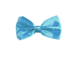 Turquoise Vlinderdas