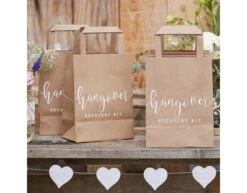 Uitdeeltasjes Hangover 26,5cm 5st -Feestartikelen Winkel uitdeeltasjes hangover 265cm 5st 2