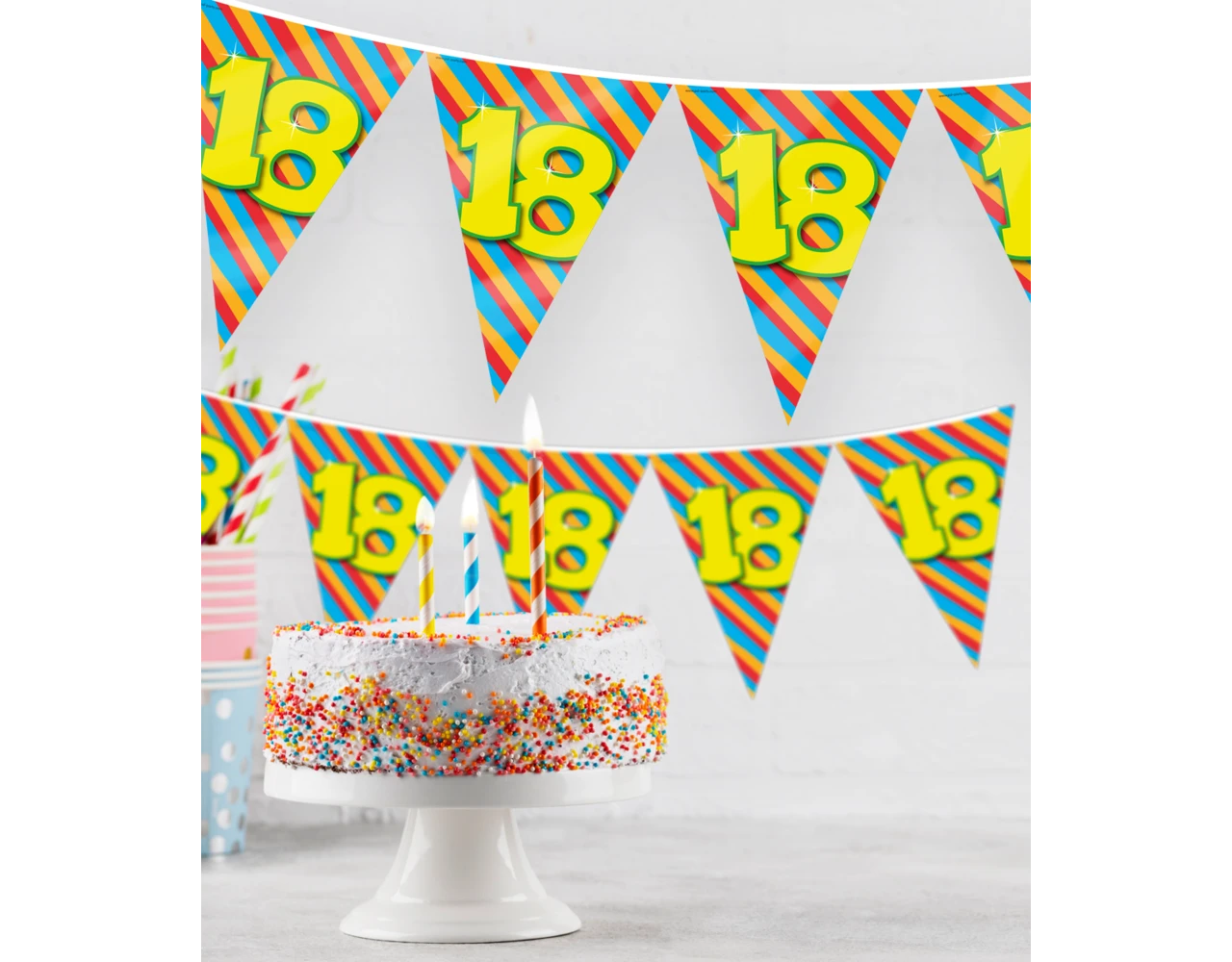 Vlaggenlijn 1 Jaar Gekleurd 10m 4 Vlaggenlijn 1 Jaar Gekleurd 10m - Afbeelding 2