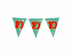 Vlaggenlijn 10 Jaar Gekleurd 10m